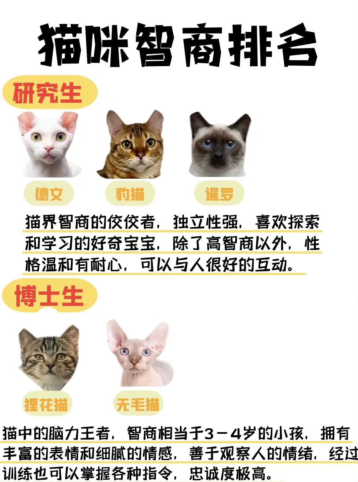 关于寻找快猫资源的问题探讨