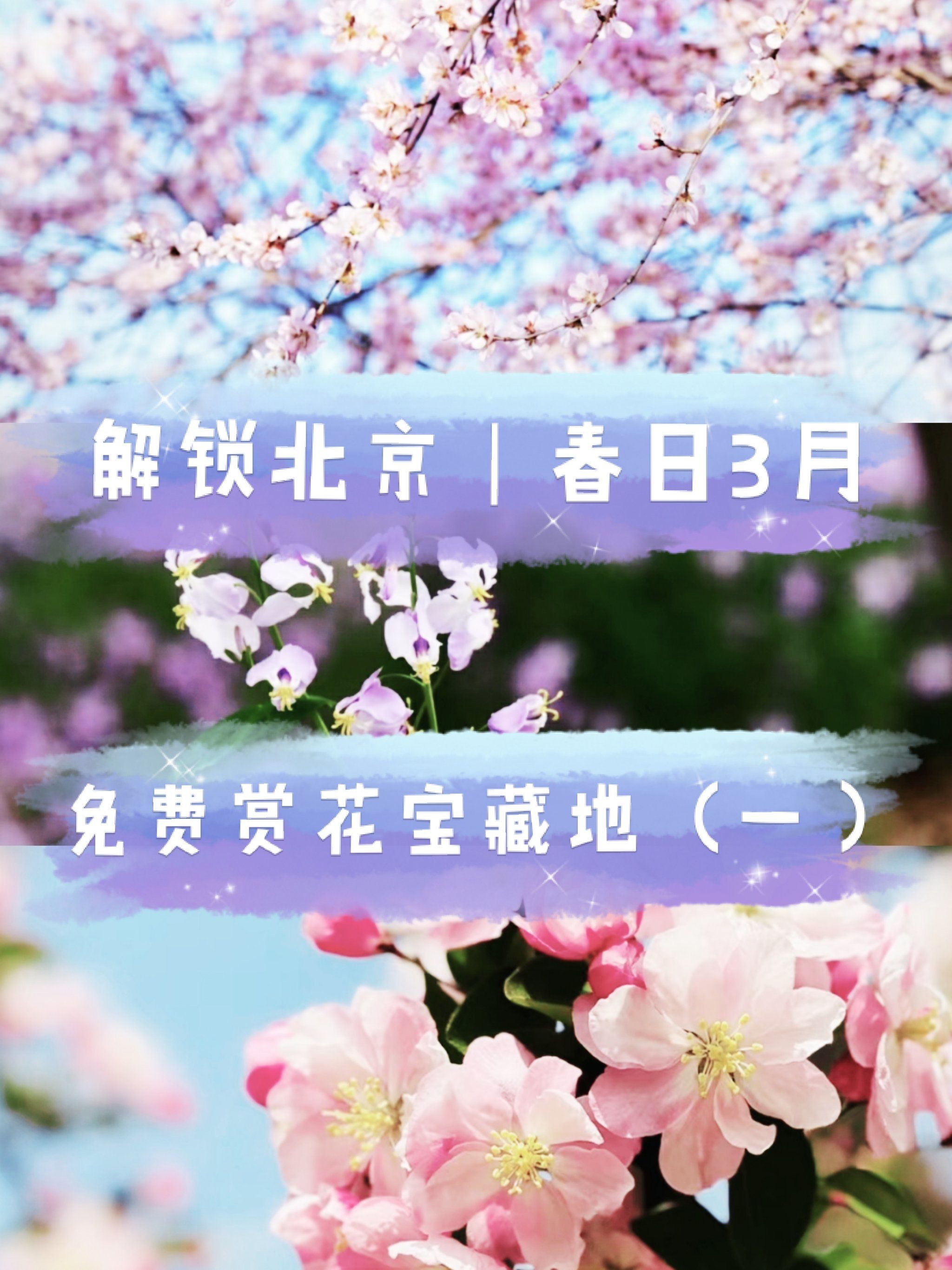 花季传媒3.0.3每天免费3次花季传媒3.0.3，每日免费体验三次的魅力-第3张图片