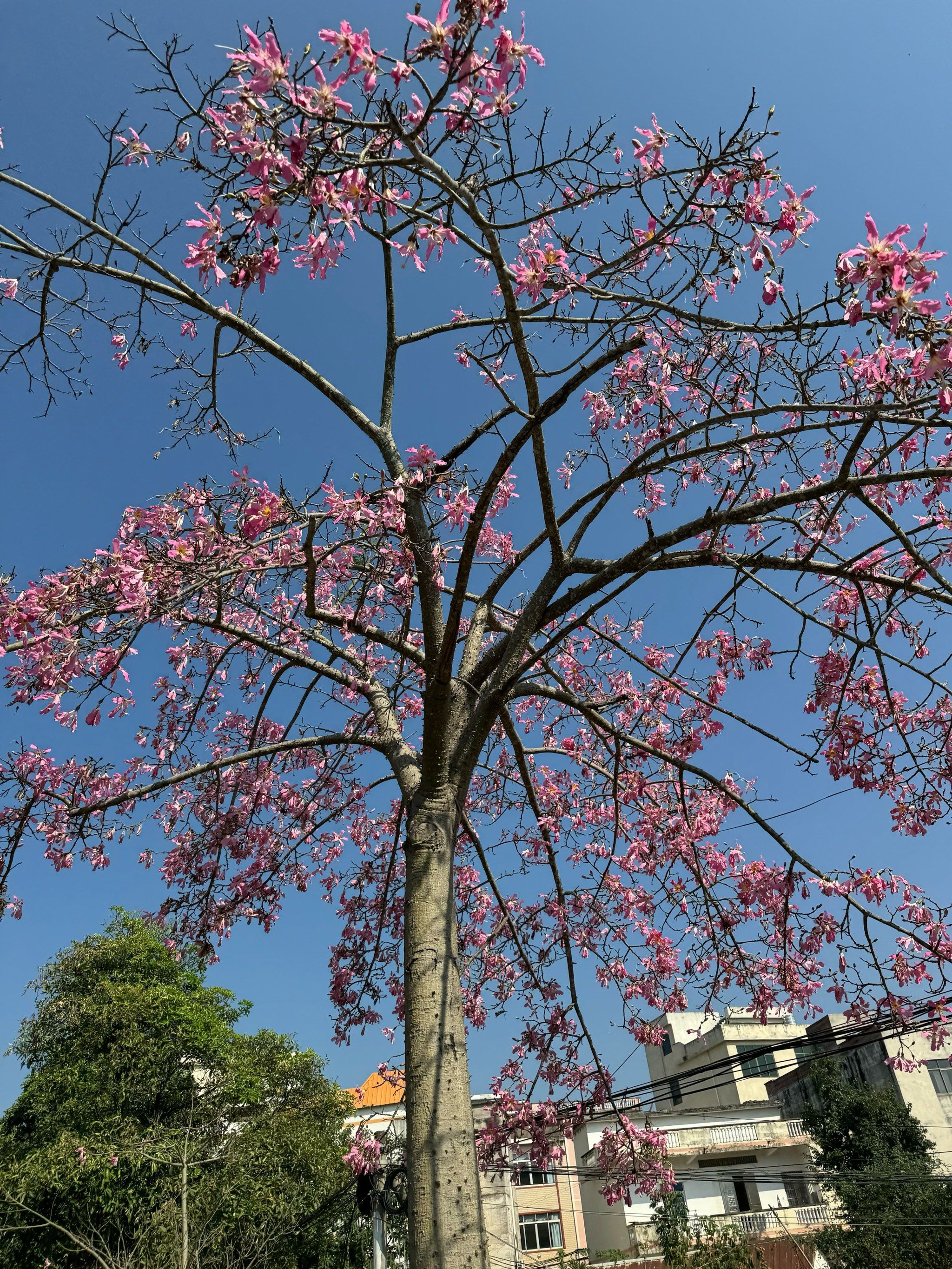 春暖花开论坛春暖花开论坛——心灵的春天，智慧的交流-第1张图片