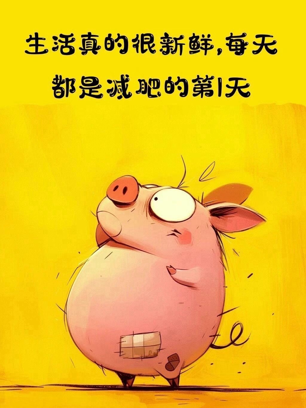 超级达人减肥训练营超级达人的非凡之路