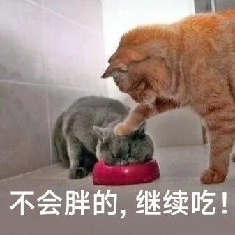 老公不在和家里的狗爱爱了老公不在，家中的忠诚伴侣——我们的狗