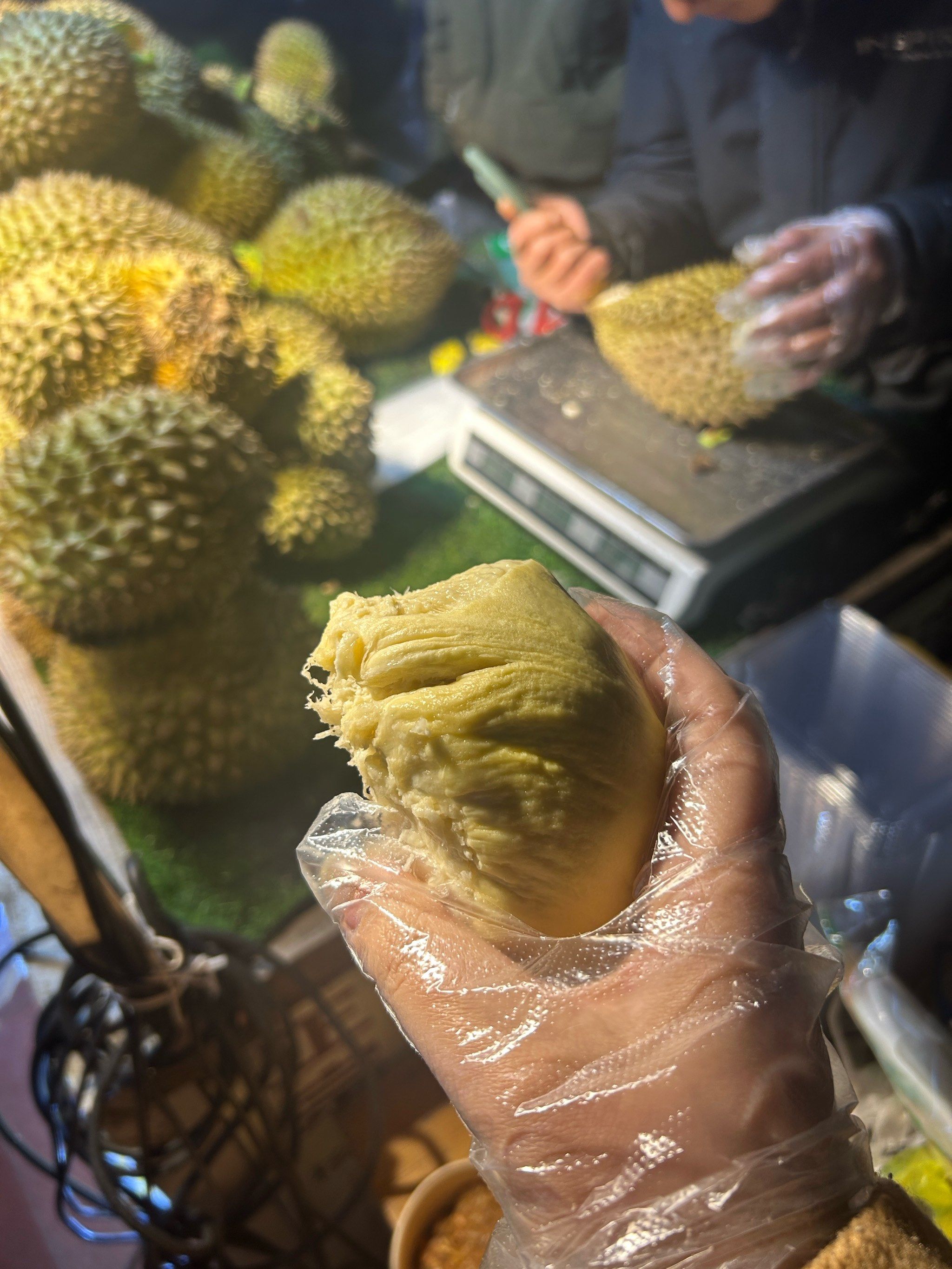 榴莲视频下载，探索与体验的全新方式