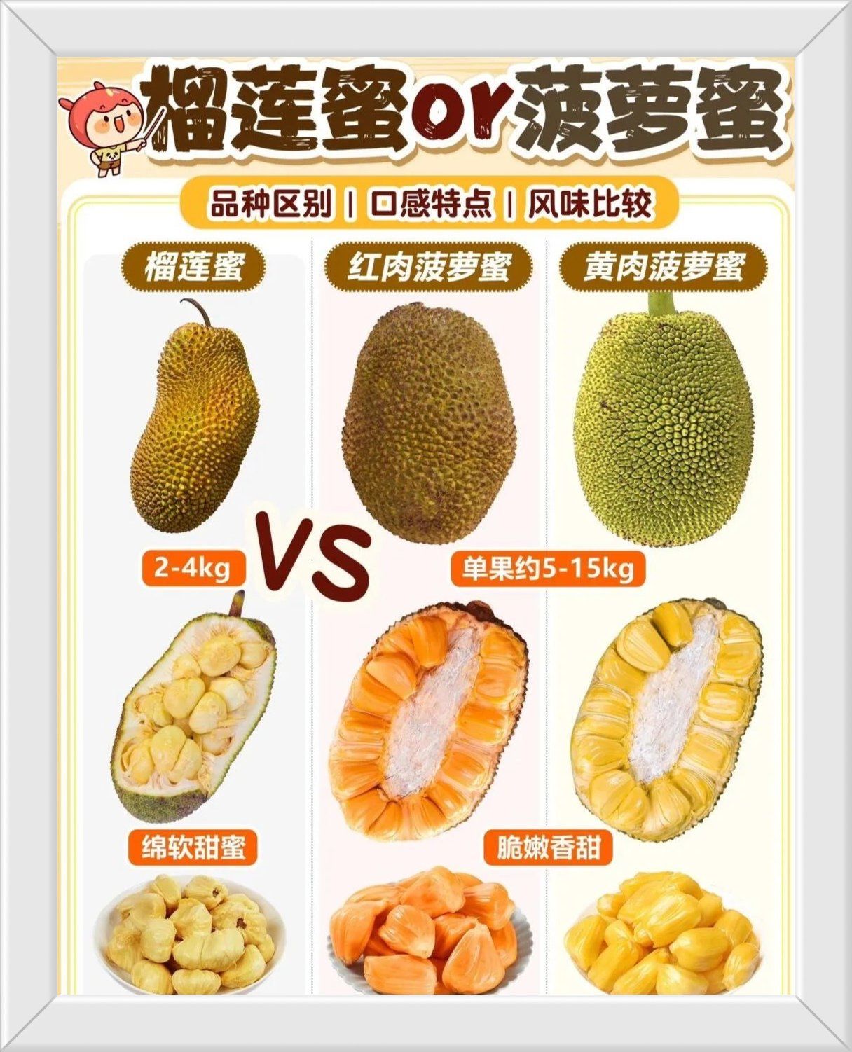 菠萝菠萝蜜视频免费看5菠萝菠萝蜜视频免费观看指南