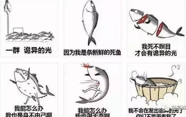 语文课代表表情包语文课代表的深邃之痛——泪水背后的探索-第2张图片