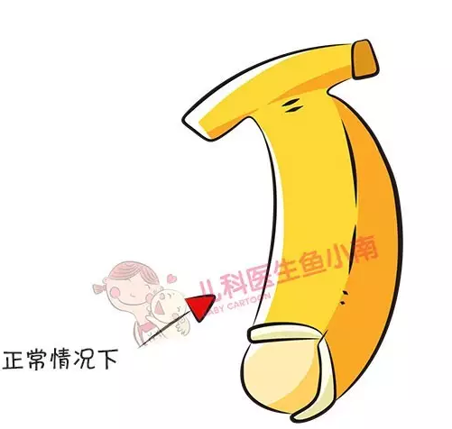 男人喜欢一只手能握满的胸围吗春雨医生男人是否偏爱一只手能握满的胸围？探究背后的心理与文化因素