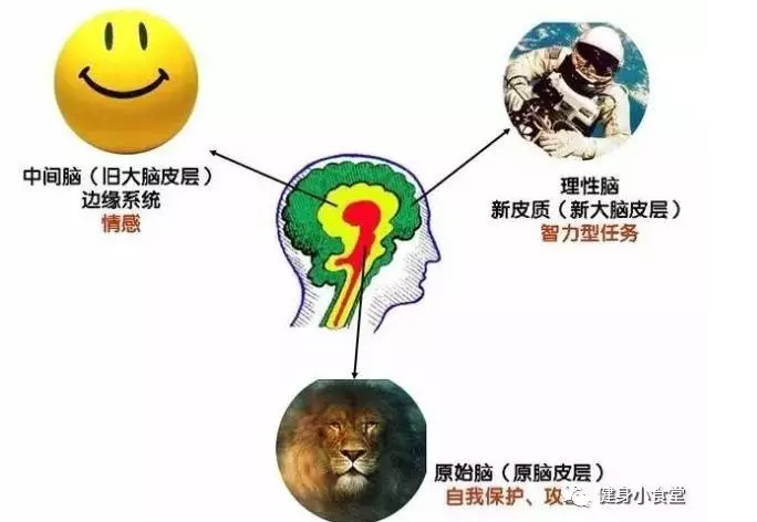 春雨医生与我的奇妙体验-第2张图片