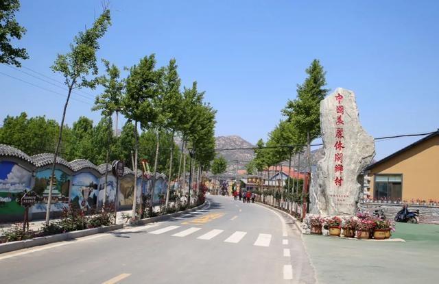 乡村同志乡村同志——那些年，我们共同走过的路