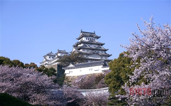 樱花官网官方进入版网址樱花官网官方入口——探索美丽樱花的奇妙世界