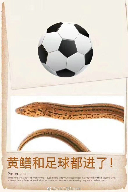 黄鳝门琪琪黄鳝门事件背后的琪琪，一次网络风波的深度解析-第2张图片