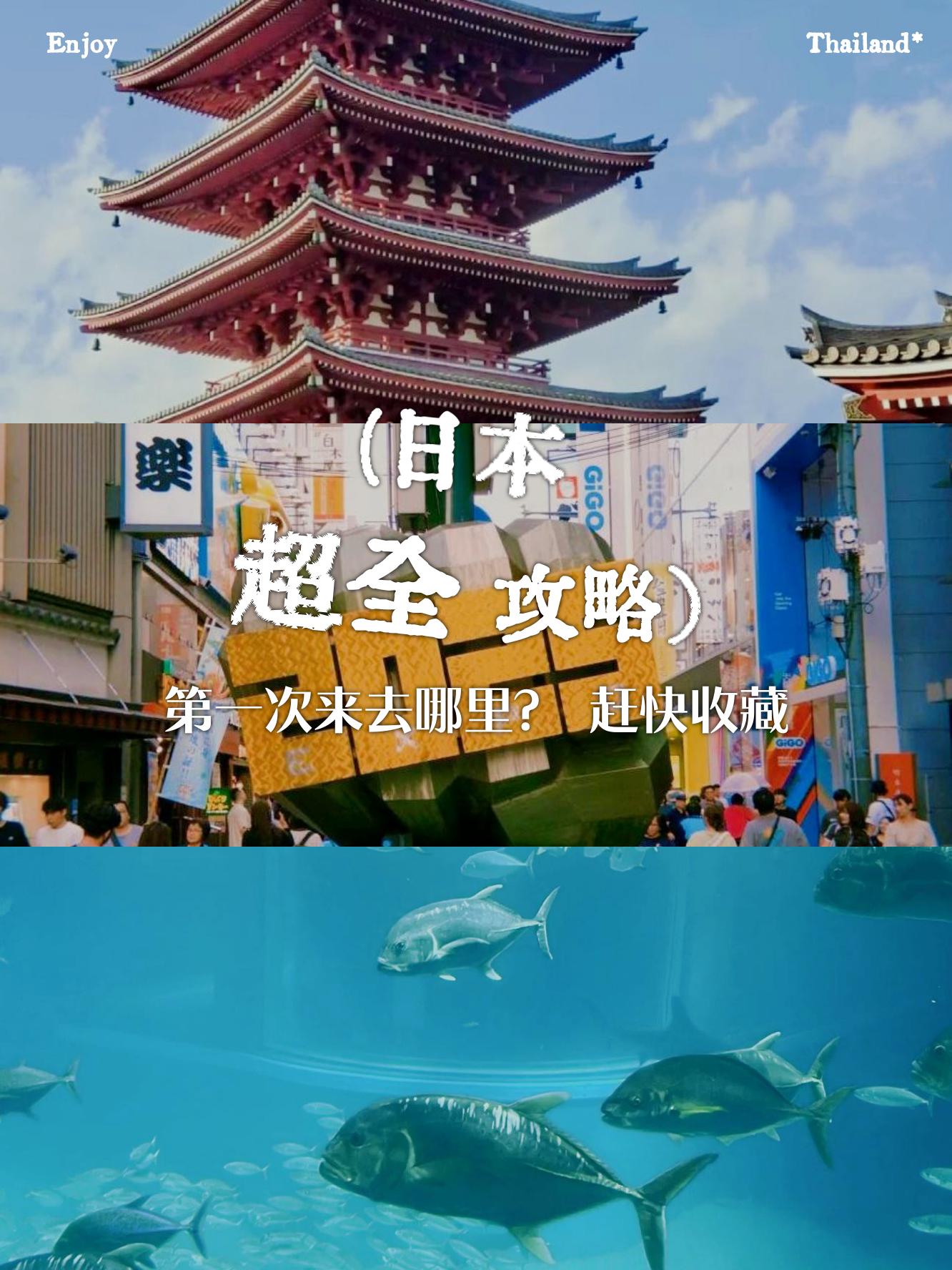 好大好有力探索好大好有力的魅力-第1张图片