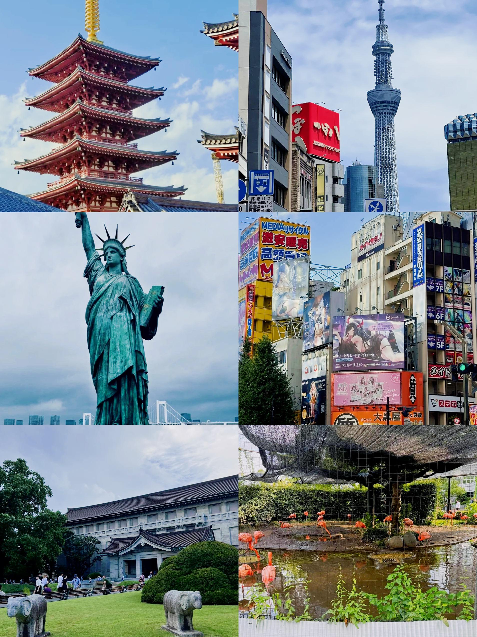 东京热是一首什么歌深入解析东京热——日本都市文化中的独特现象-第2张图片