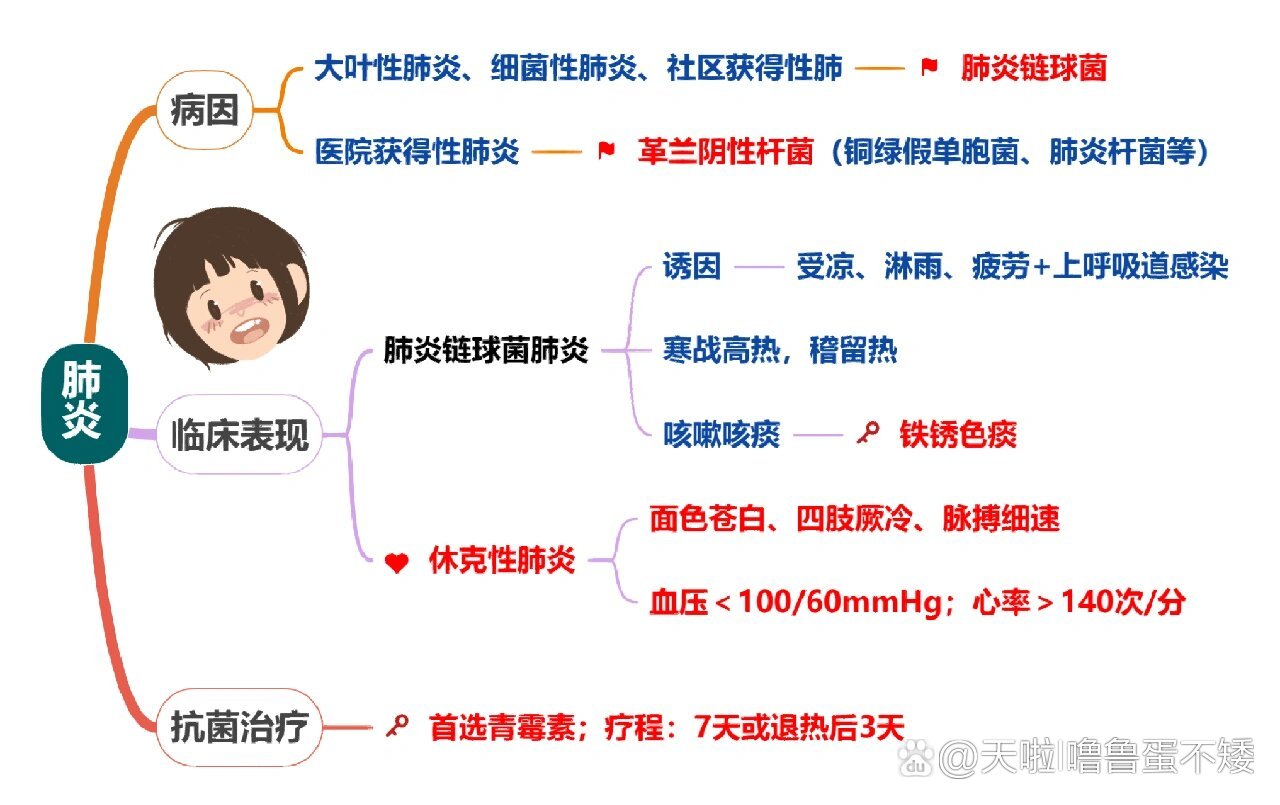 成人社区获得性肺炎指南2024探索chengrenshequ的魅力与文化-第3张图片