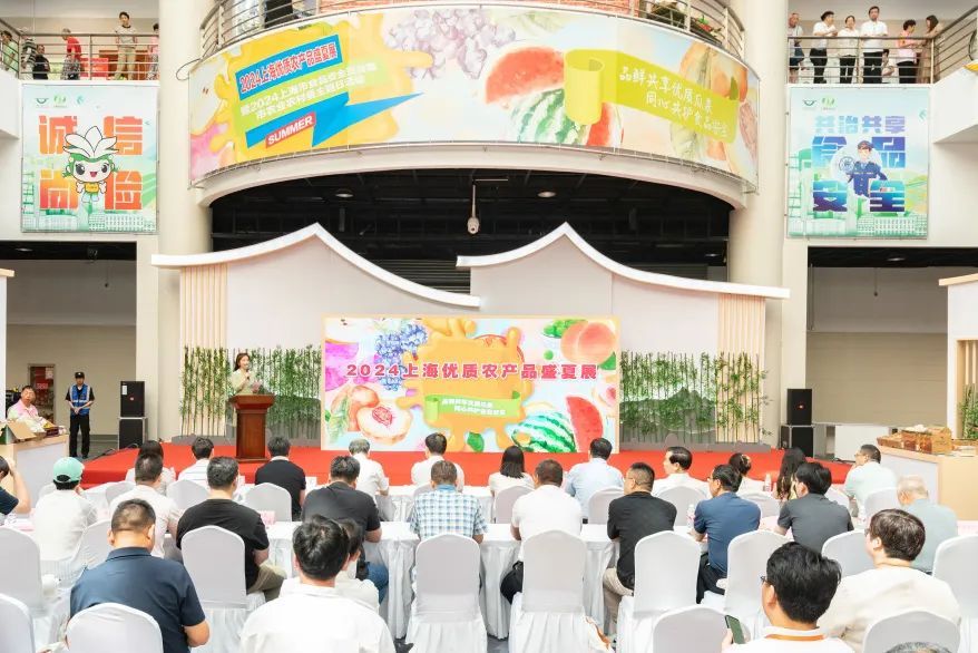 夏日瓜果盛宴，多彩多味的蔬果世界-第3张图片