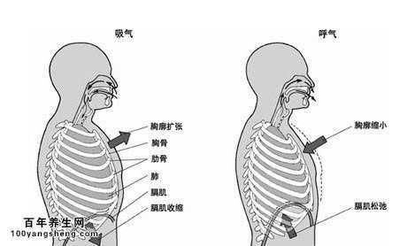 男生把自己肌肌放进女生的肌肌里视频关于男生将私处放入女生私密部位的视频的探讨-第2张图片