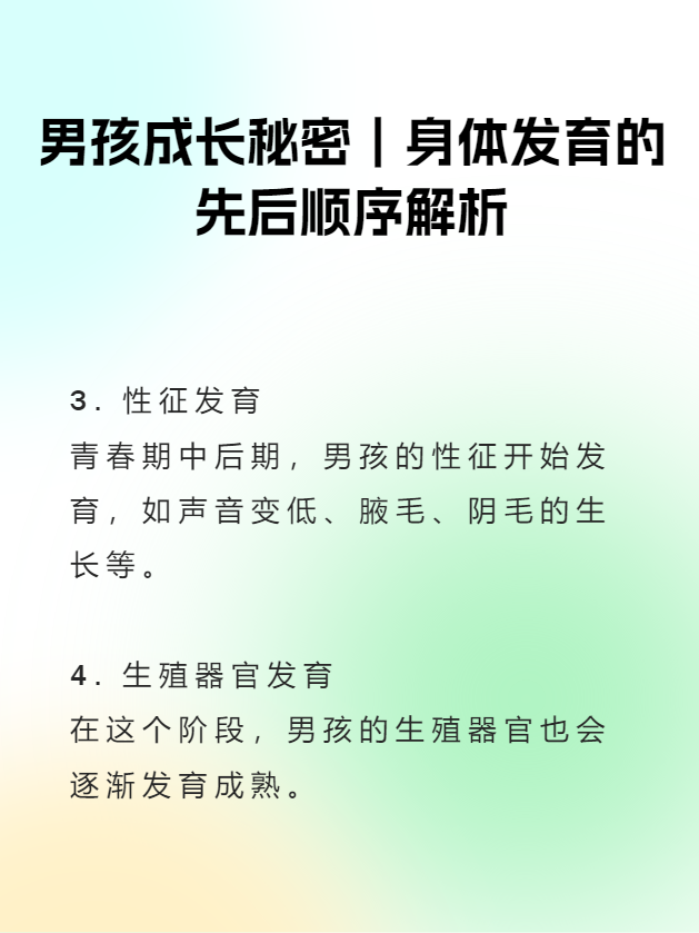 两个男孩之间的秘密与成长
