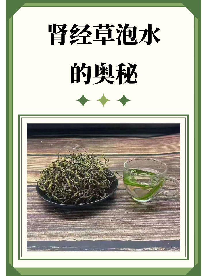 久草草在线探索久草草在线的奥秘-第1张图片