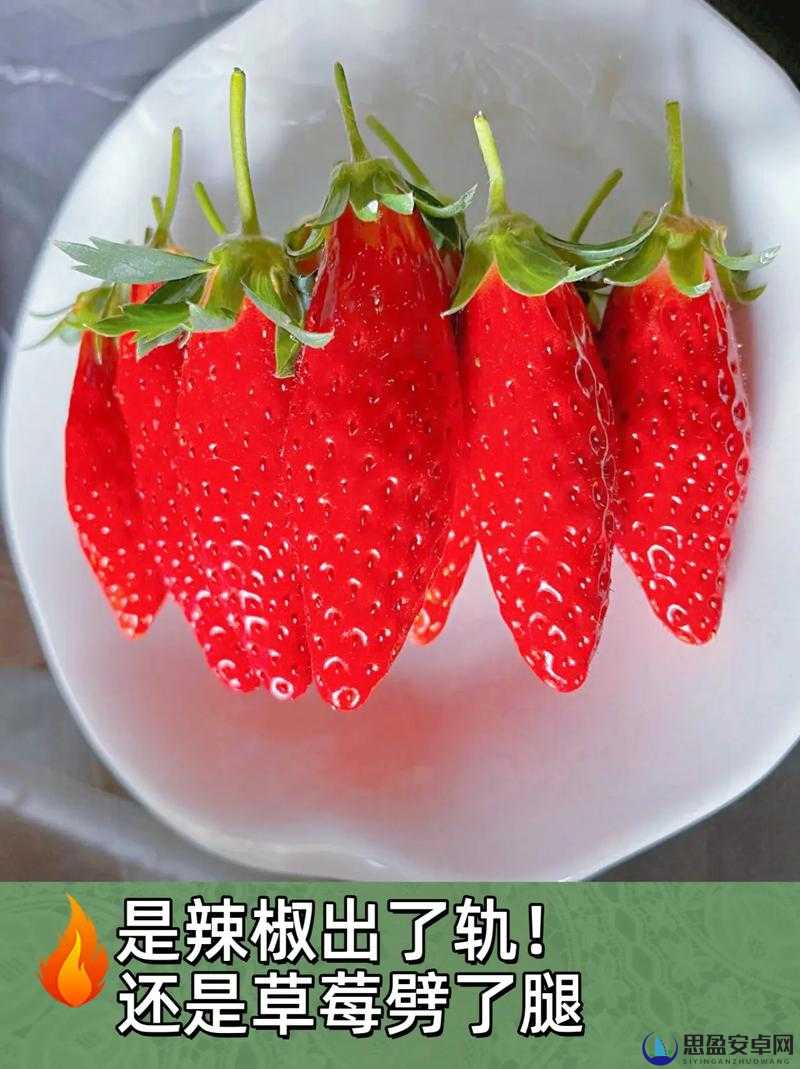 草莓视频下载，破解免费版黑科技API的探索-第2张图片