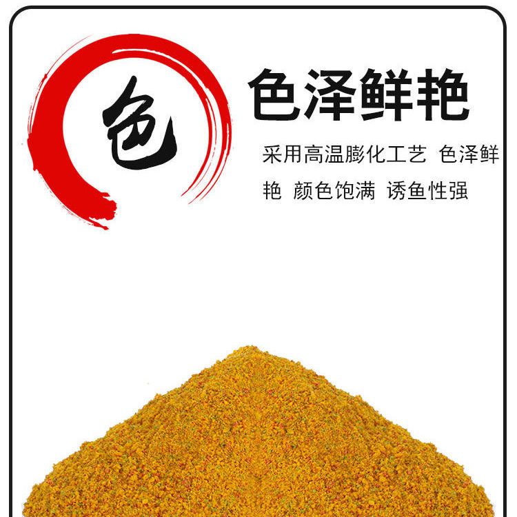 黄色地址探索城市之秘，黄色地址的魅力与力量
