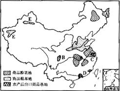 探索99精产国品一二三产区区的多元魅力