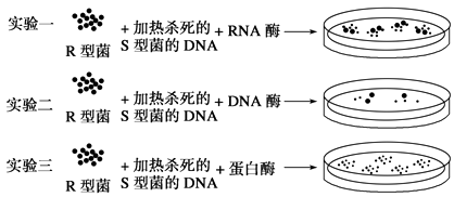 关于180231的探索与思考-第3张图片