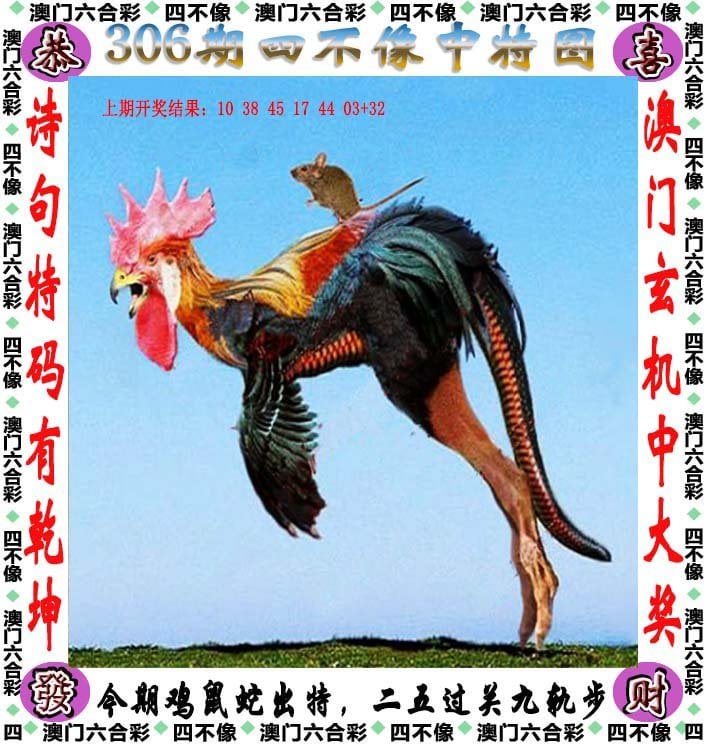 49579四不像图库大全探索数字世界的奥秘，49579四不像908181-第2张图片