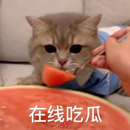 吃瓜论坛吃瓜网166.su——黑料不打烊的社交网络平台-第1张图片