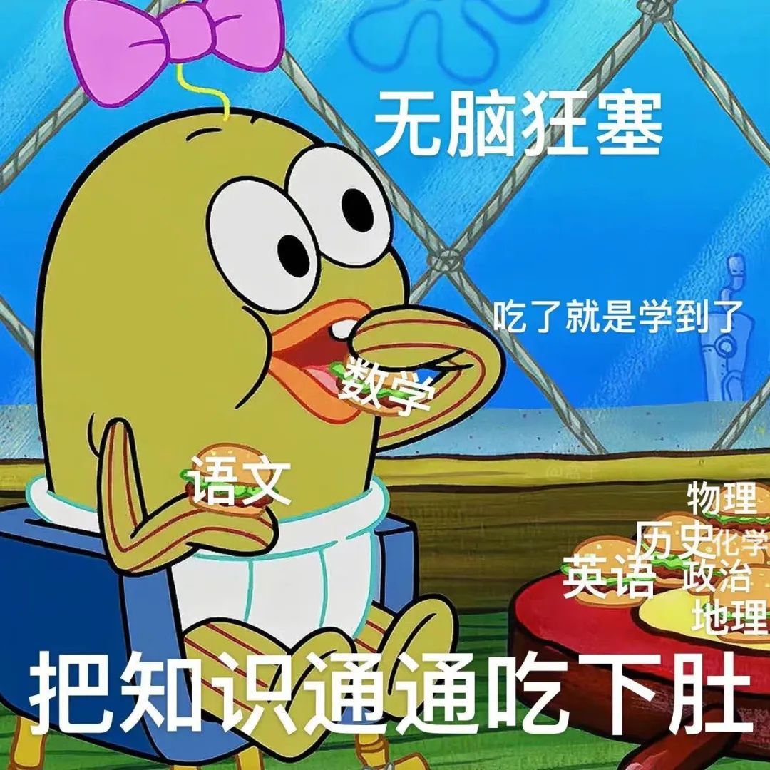 英语课代表表情包英语课代表的挑战，深邃知识之下的泪水与成长