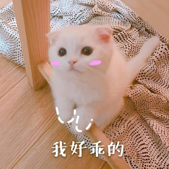 我的乖我的乖，一份深深的情感与期待-第1张图片