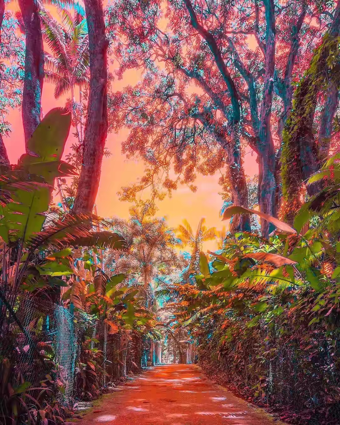 开垦妈妈肥沃的土地开垦妈妈肥沃的土地——传承与成长的故事