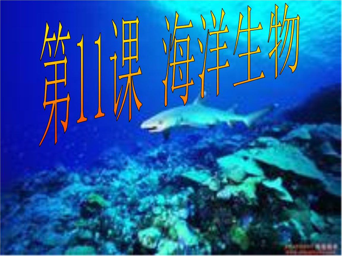 网页制作大宝库探索网页大宝库，无尽的资源与知识的海洋-第2张图片