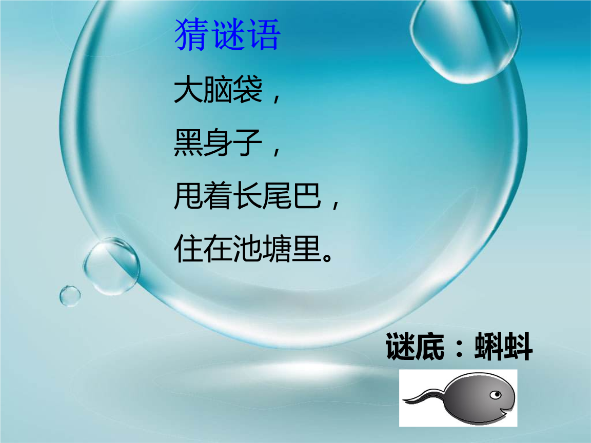 小蝌蚪在线观看视频的非法破解版探讨-第3张图片