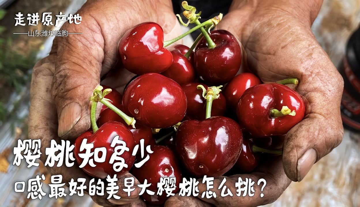 樱桃黄软件樱桃黄软件，引领数字时代的创新潮流-第2张图片