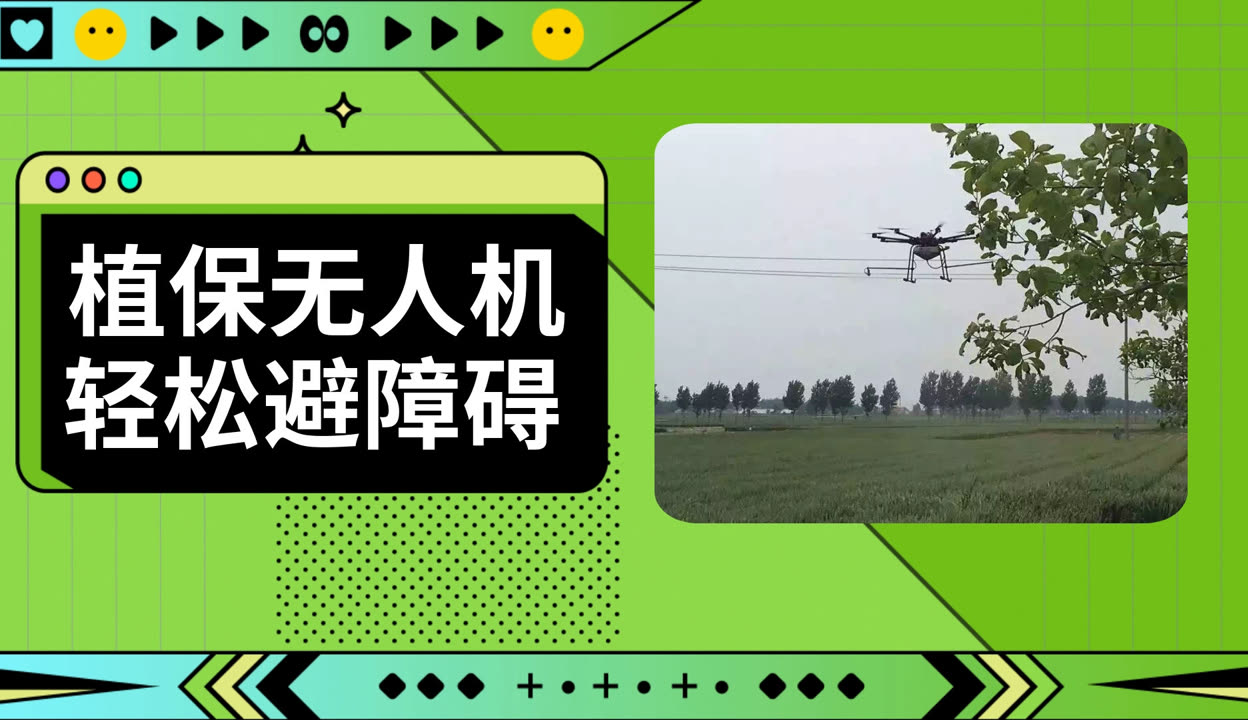 探索无人视频的在线观看与免费播放