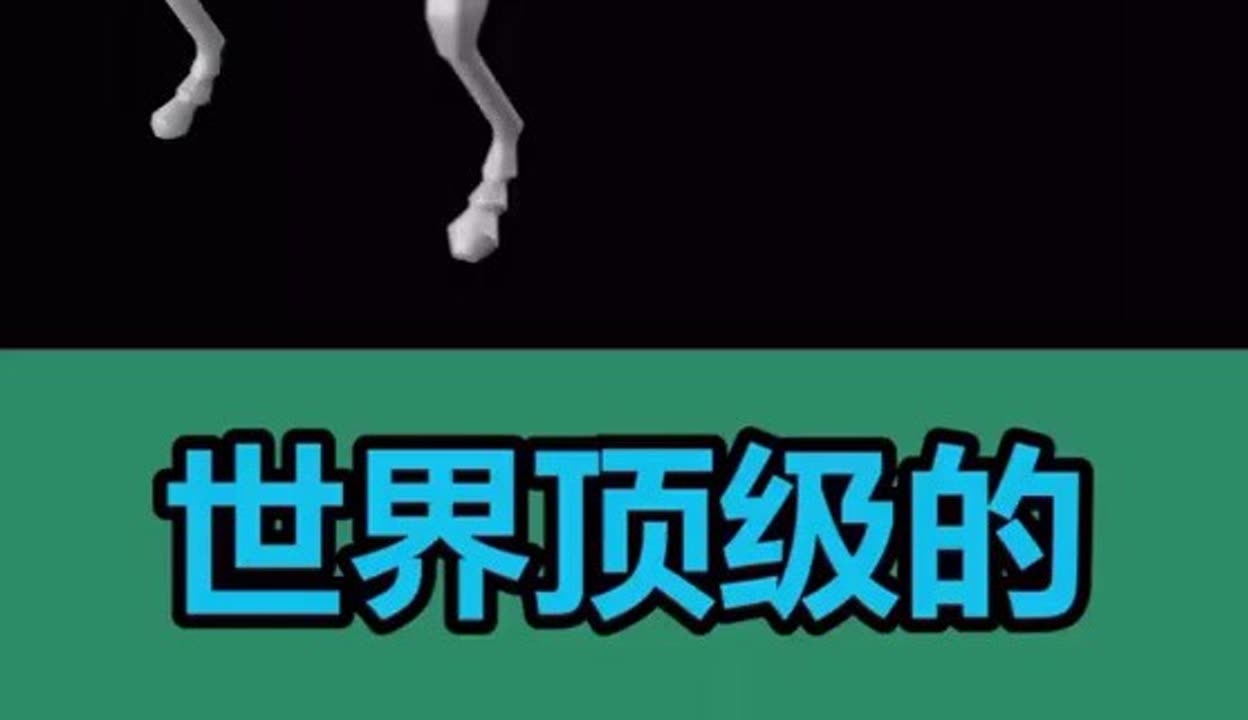 黑科技404，探索未知的数字世界