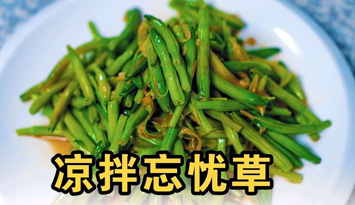 忘忧草社区，在线观看免费视频播放的快乐之旅-第2张图片