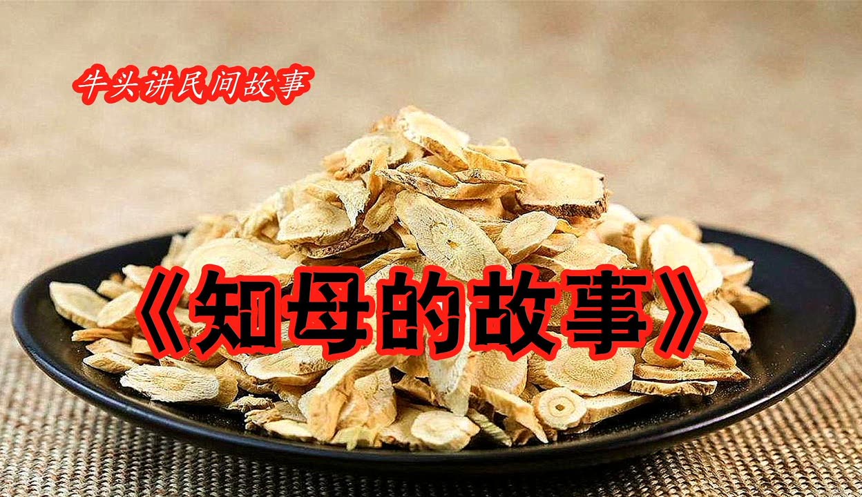 2012 字幕2012，字幕背后的故事与影响-第3张图片