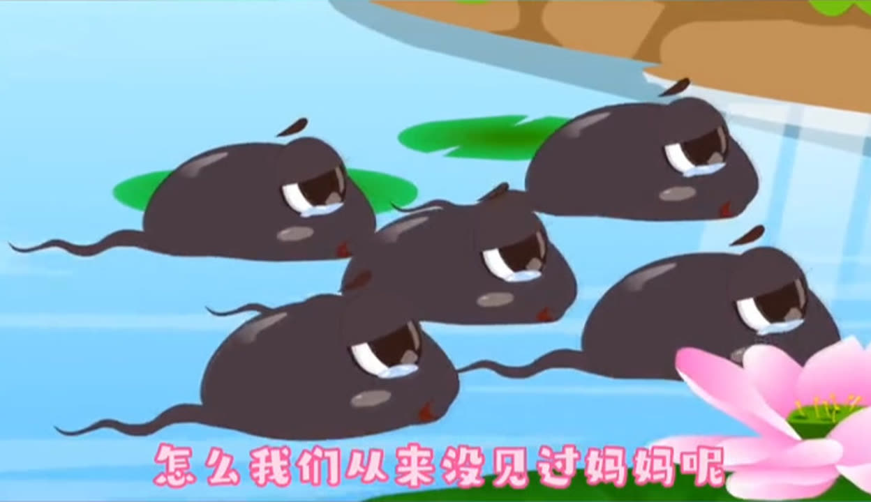 小蝌蚪视频在线观看完整高清免费体验