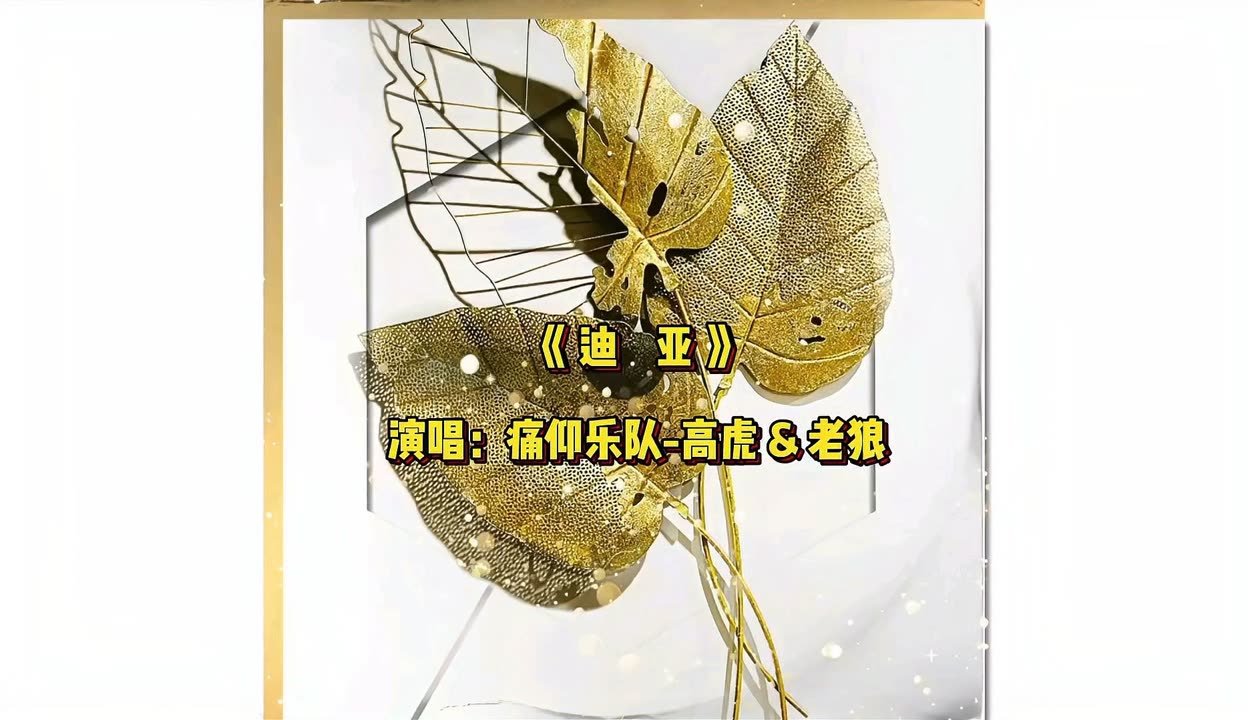 欧洲一卡2卡三卡4卡2021老狼欧洲一卡二卡三卡四卡，老狼的2021年探索之旅-第2张图片