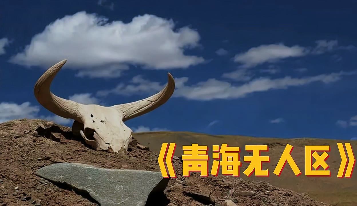 无人区插曲免费播放关于无毛逼逼的探究与解析-第2张图片