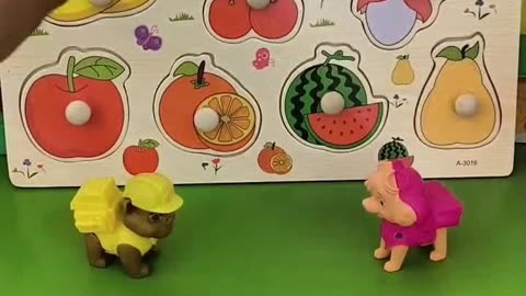 小猪视频草莓视频之类的小猪视频与草莓视频，网络时代的娱乐新宠