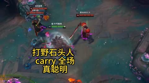 石头打野石头的野性之旅，石头打野的魅力与挑战-第1张图片