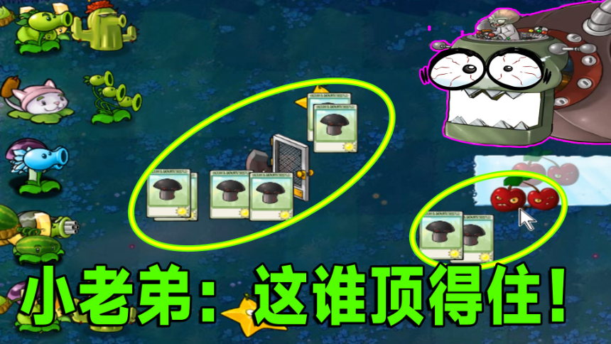 蘑菇视频在线观看完整版，探索与欣赏的便捷途径-第1张图片