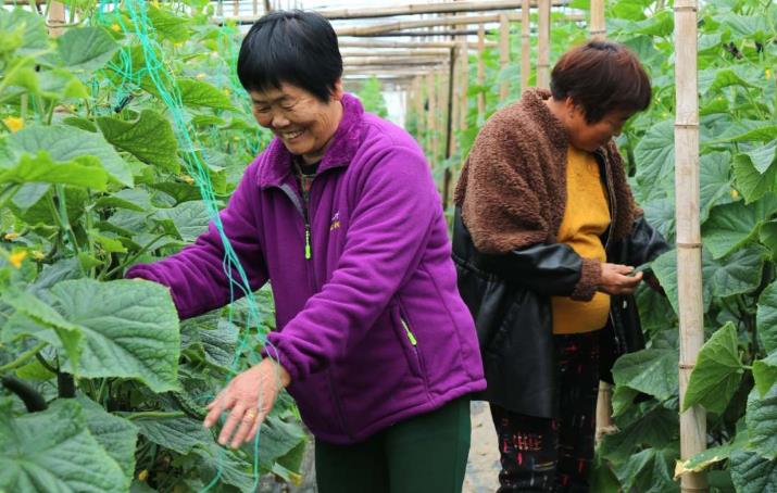 农村野外妇女，53分钟前的那一幕-第1张图片