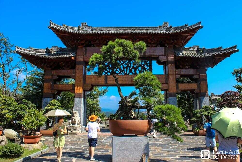 天下第一视频社区探索天下第一视频社区的魅力与独特之处