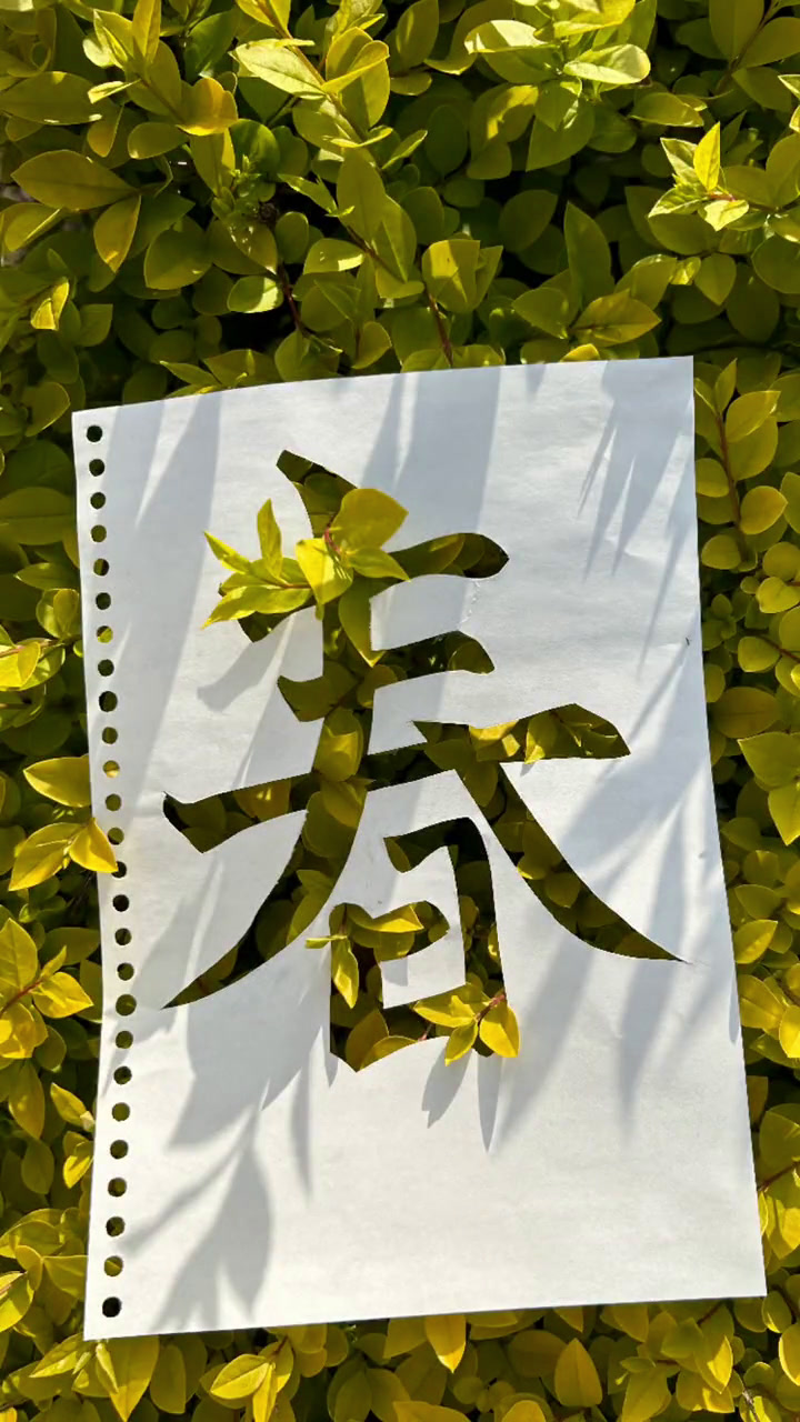 第六回，香车内终随平儿愿-第2张图片