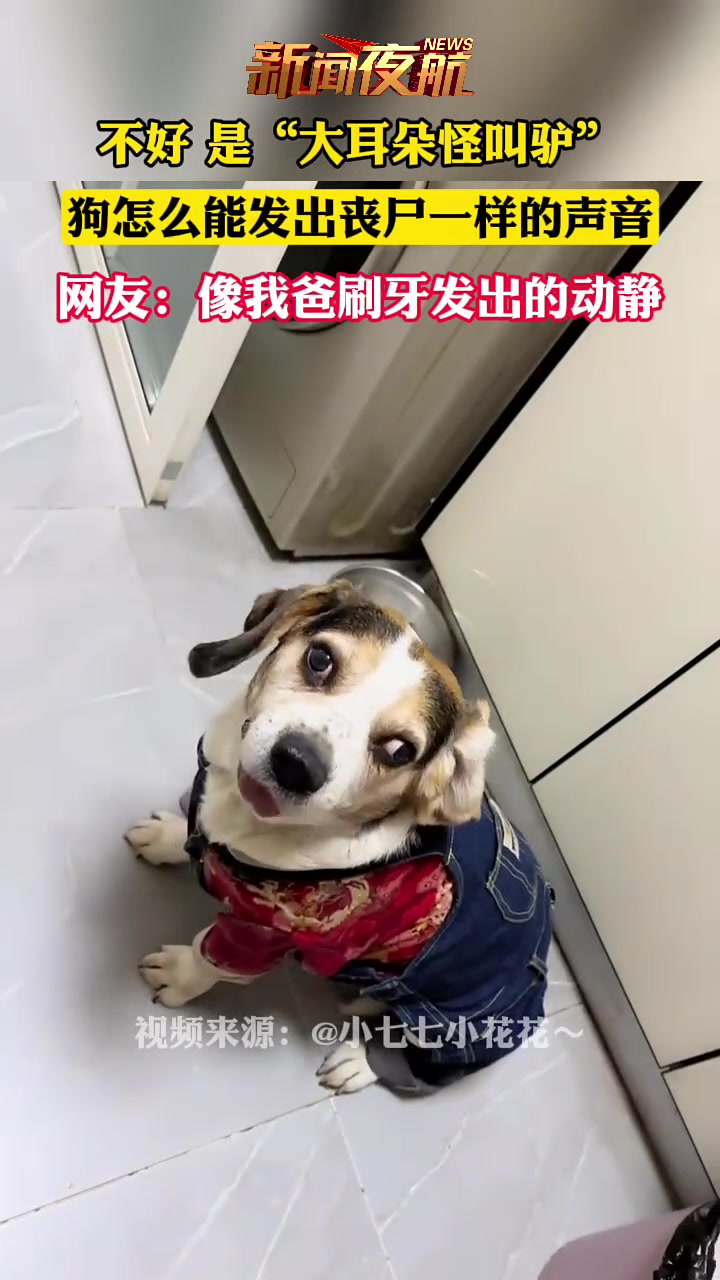 你这家伙真像个驴似的你这家伙，真像个驴似的——一种别样的生活启示-第2张图片