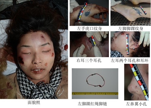 打扑克免费视频网站观看打扑克免费视频网站，娱乐新选择