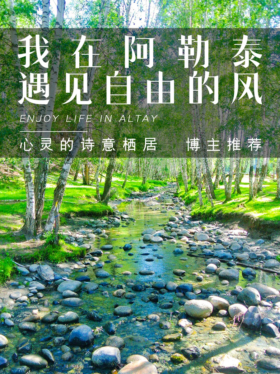 狂野之风，探索未知的冒险之旅