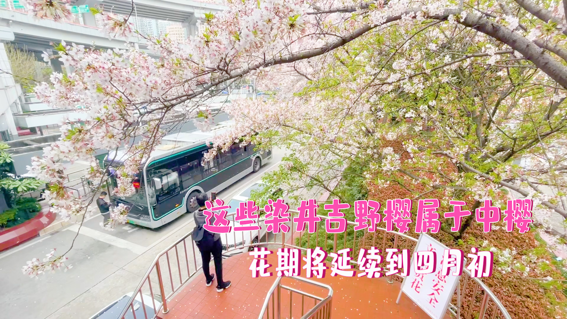 我和他在公交最后一排的邂逅