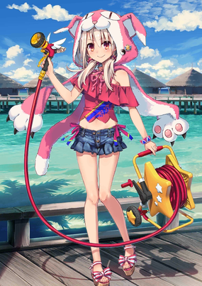 FGO伊莉雅，神秘少女与命运之约-第2张图片